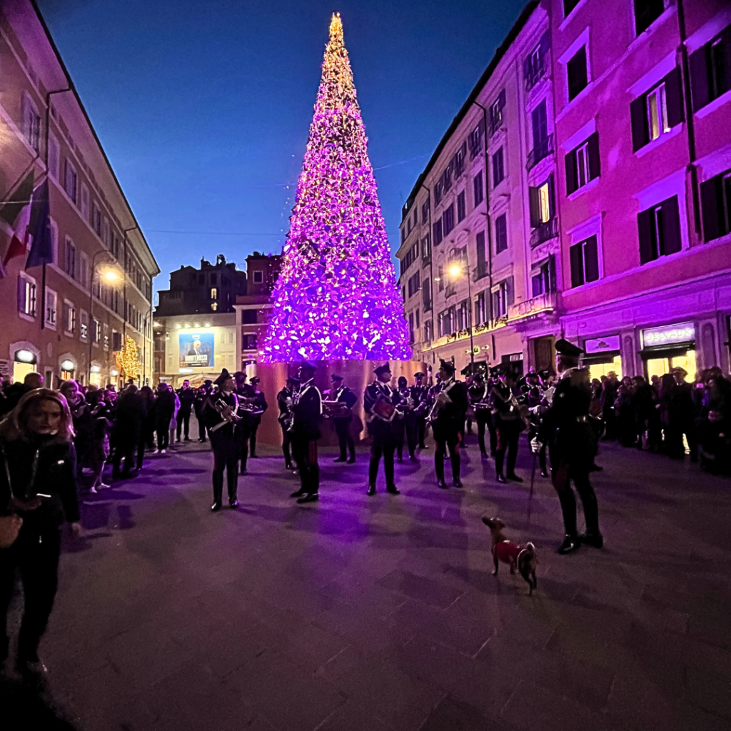 Accensione albero Daiki Group